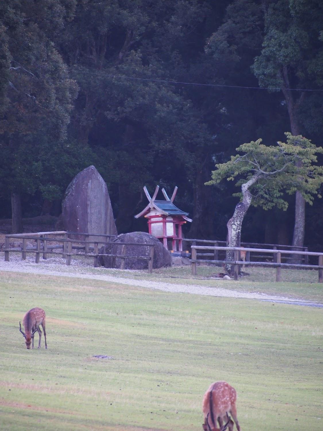 Cover Image for Kotonoyado Musashino