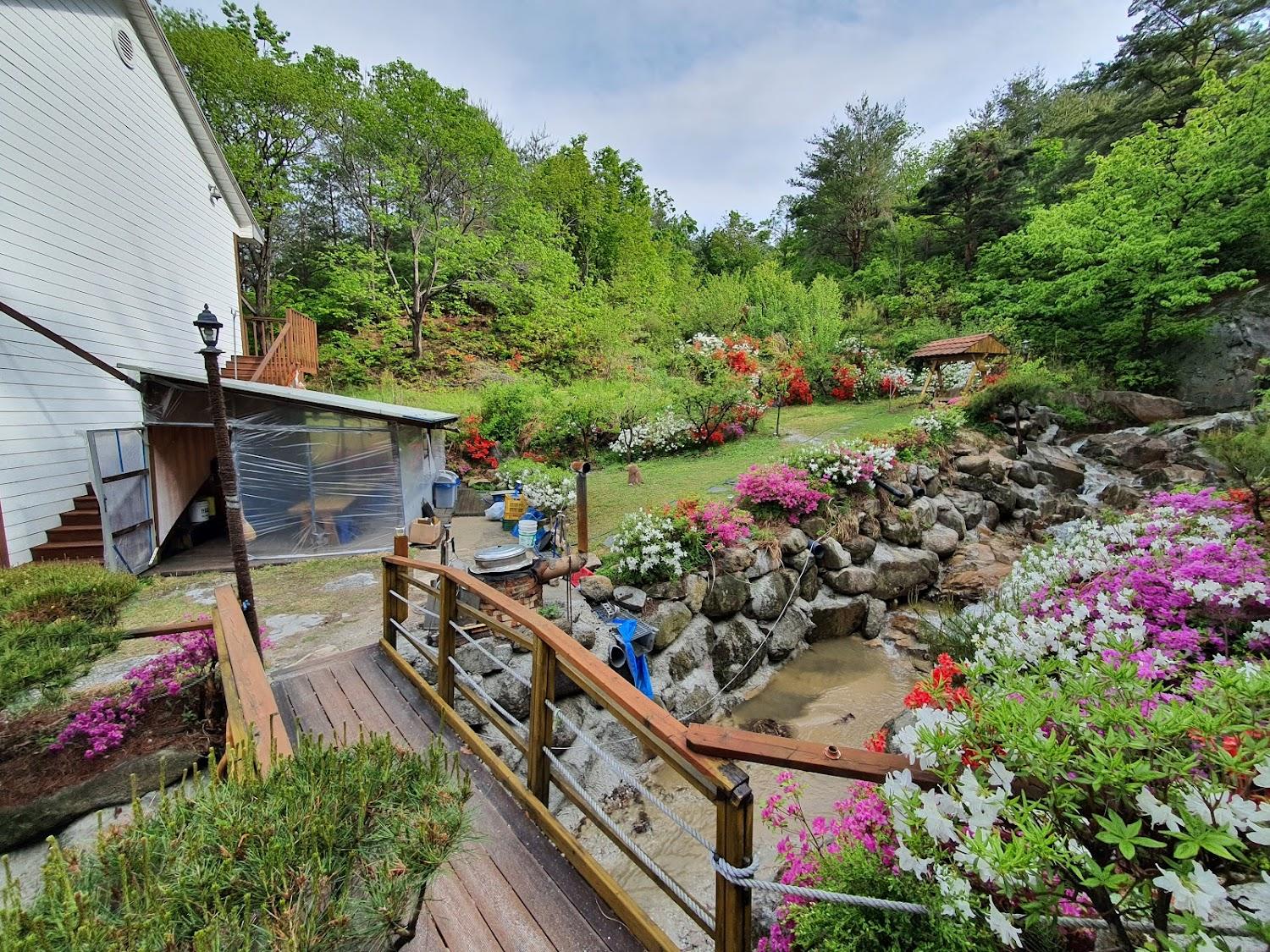 Cover Image for Gangneung Pine Pension