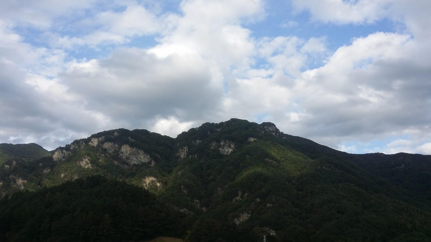Cover Image for 별마루펜션