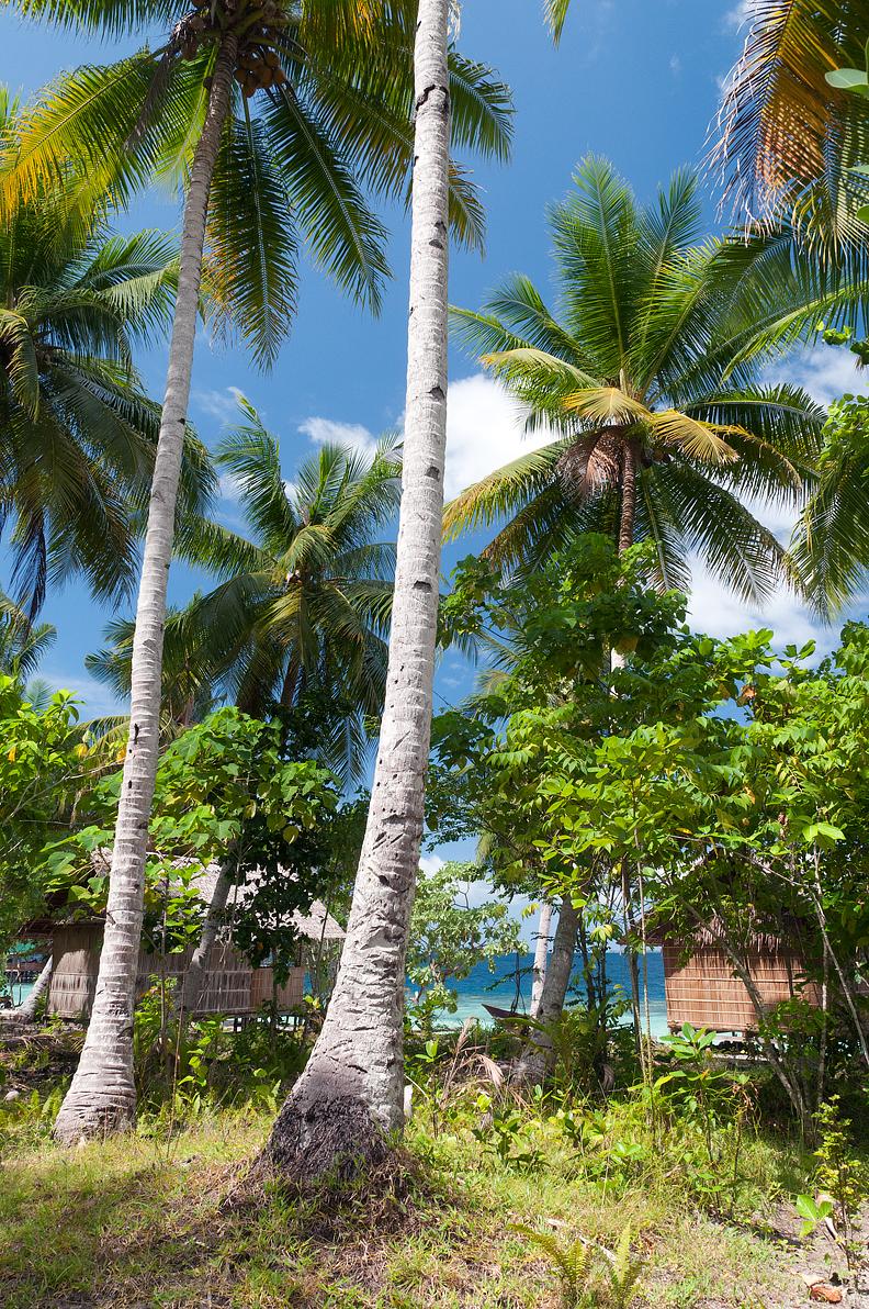Cover Image for Yenanas Paradise Homestay