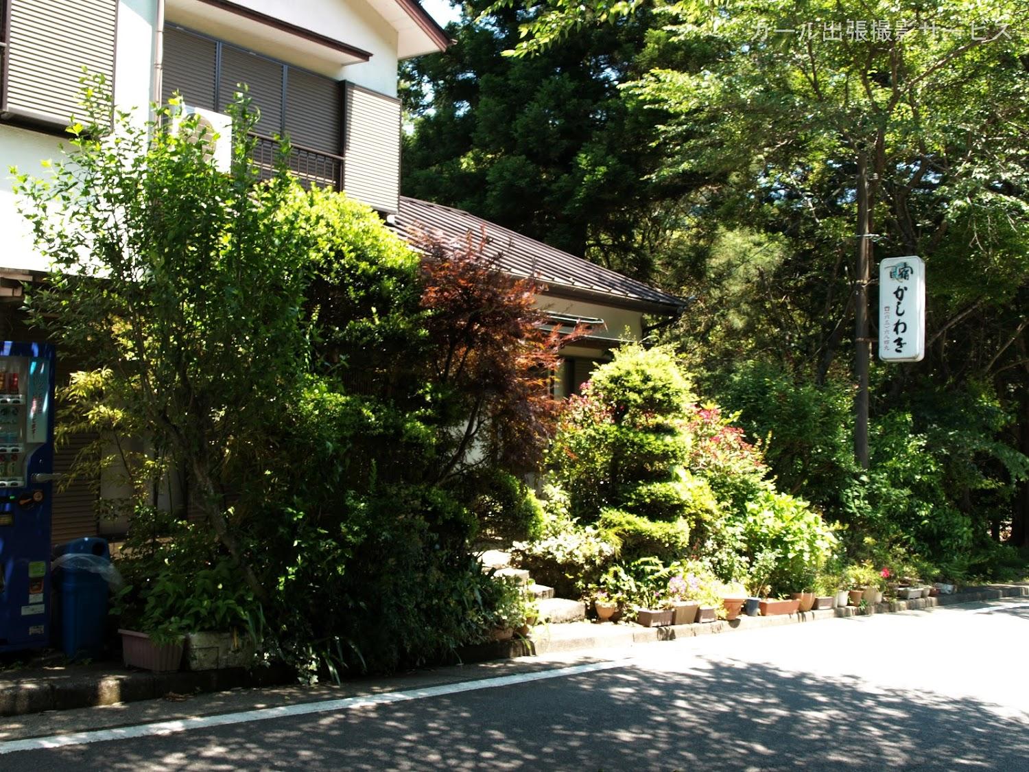 Cover Image for 民宿かしわぎ