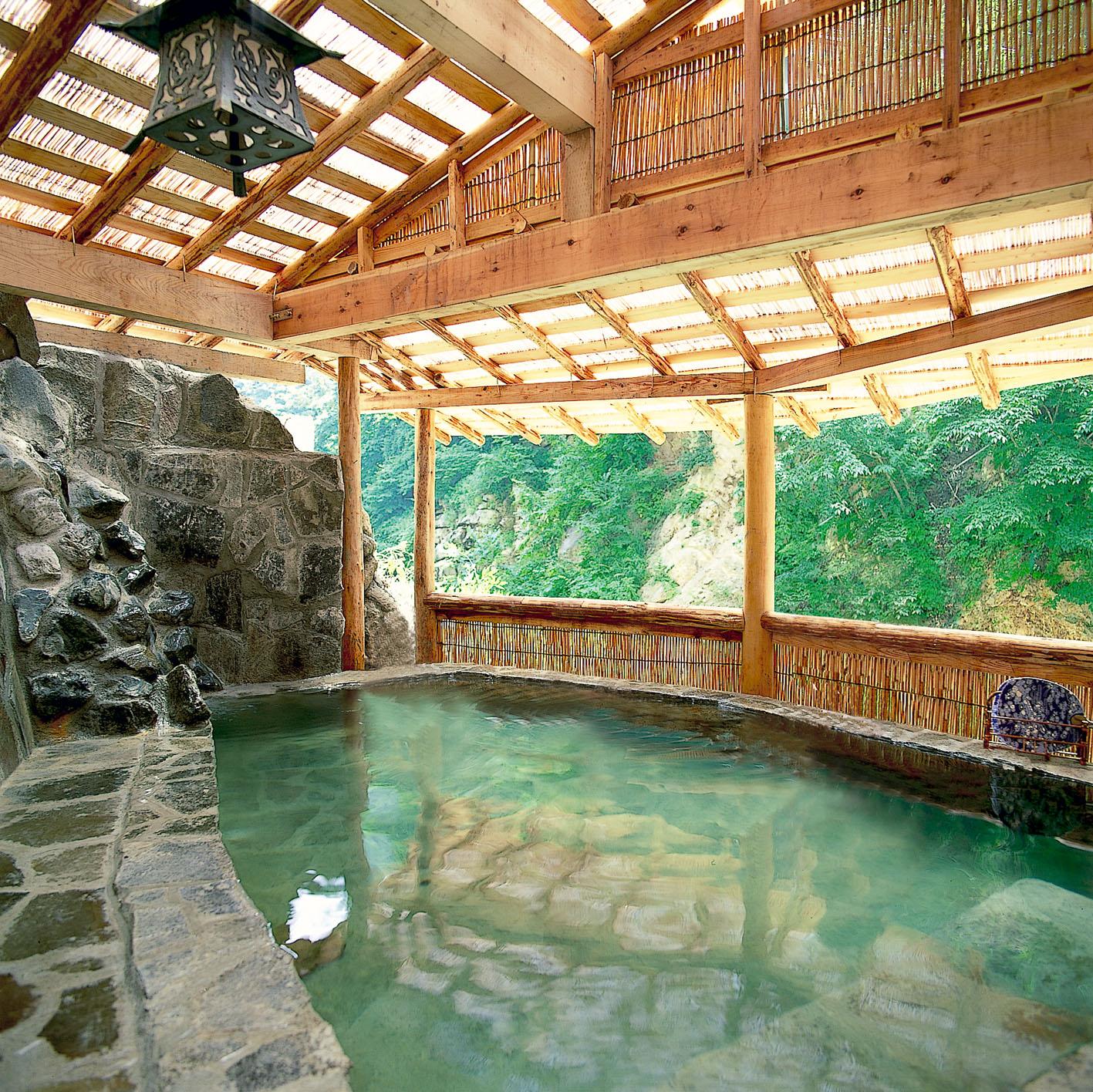 Cover Image for Hotel Senshintei