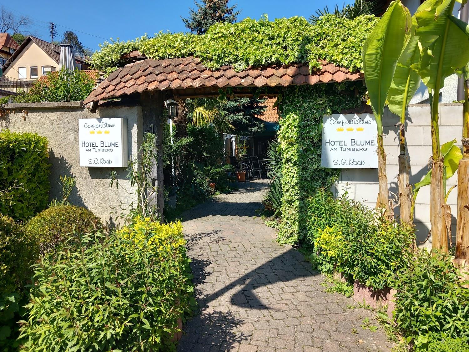 Cover Image for Hotel Blume Freiburg