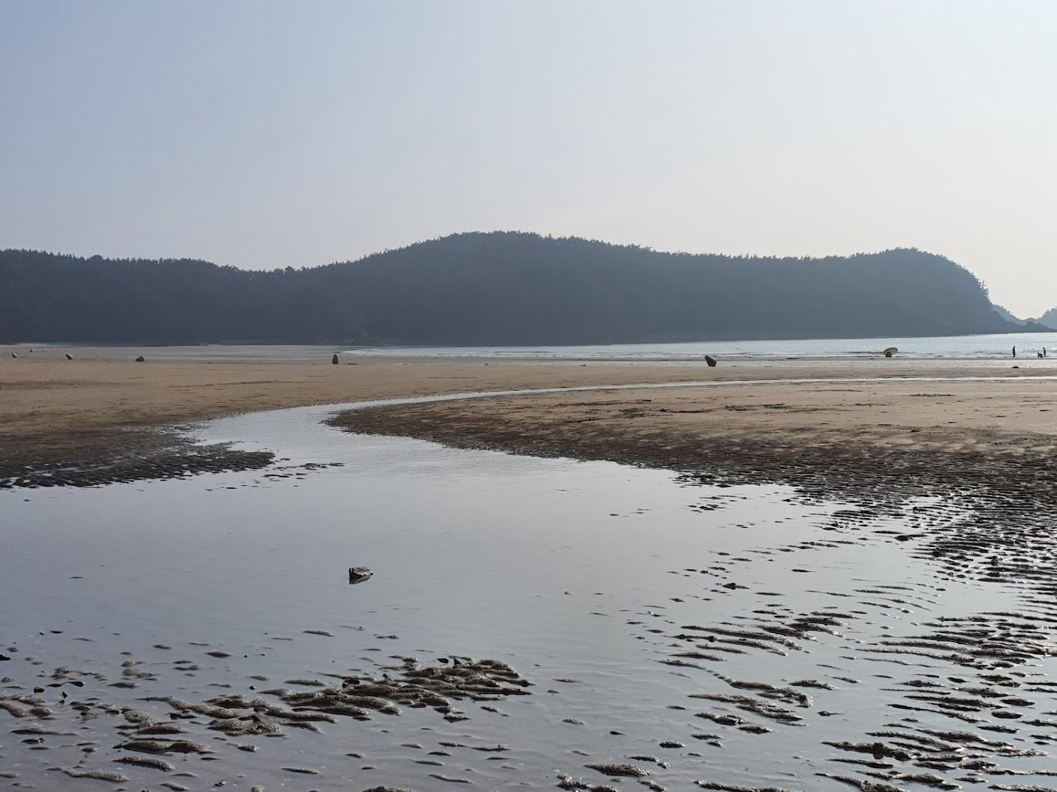 Cover Image for 바다여행