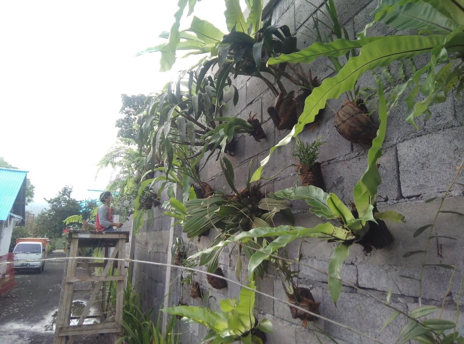 Cover Image for Alamanda Lokon Resort Tomohon