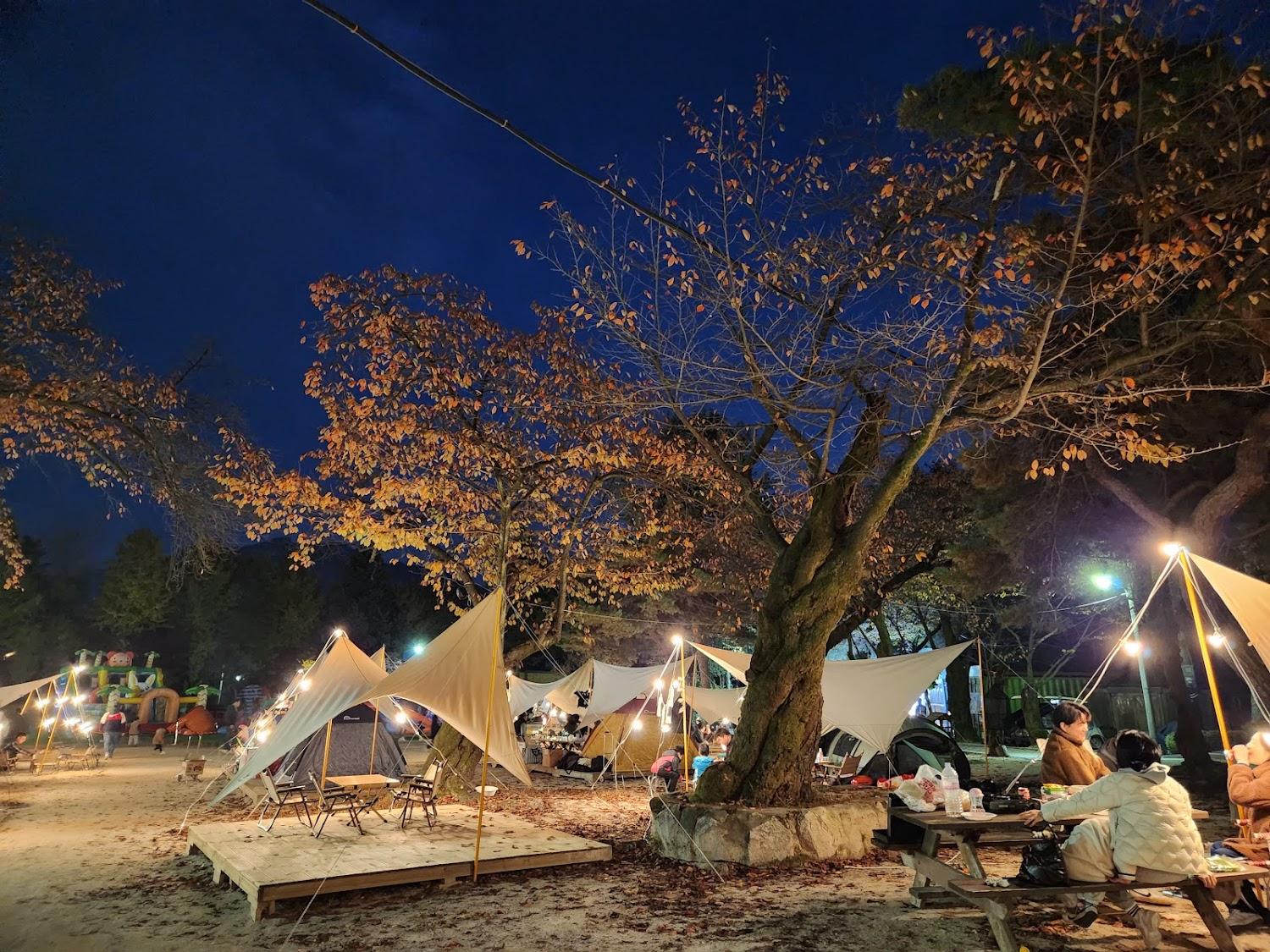 Cover Image for 다락원캠프