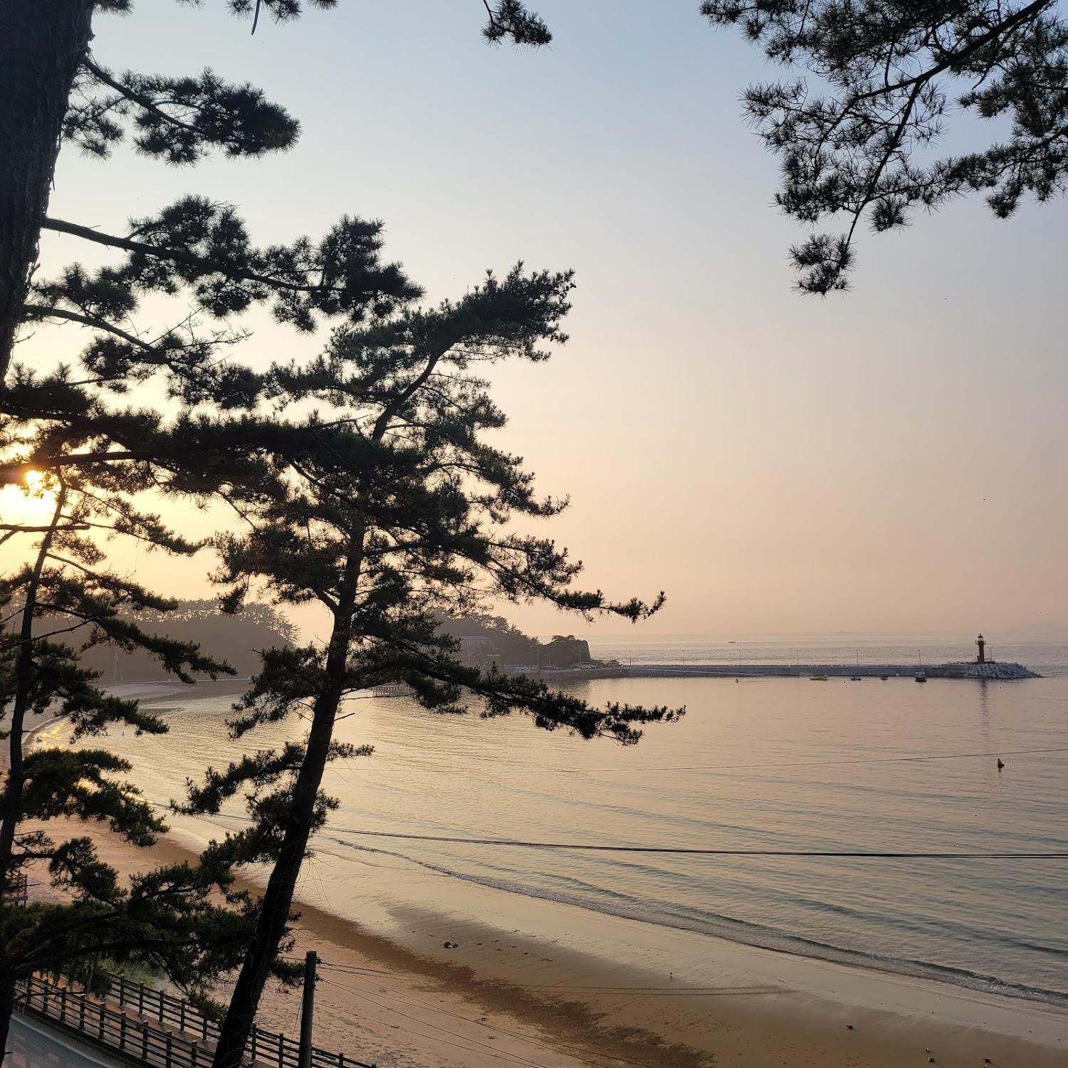 Cover Image for 태안 레오민박