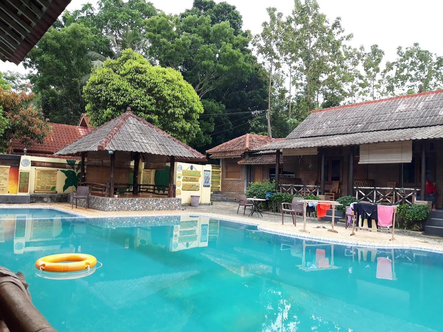Cover Image for Back to Nature Ecolodge