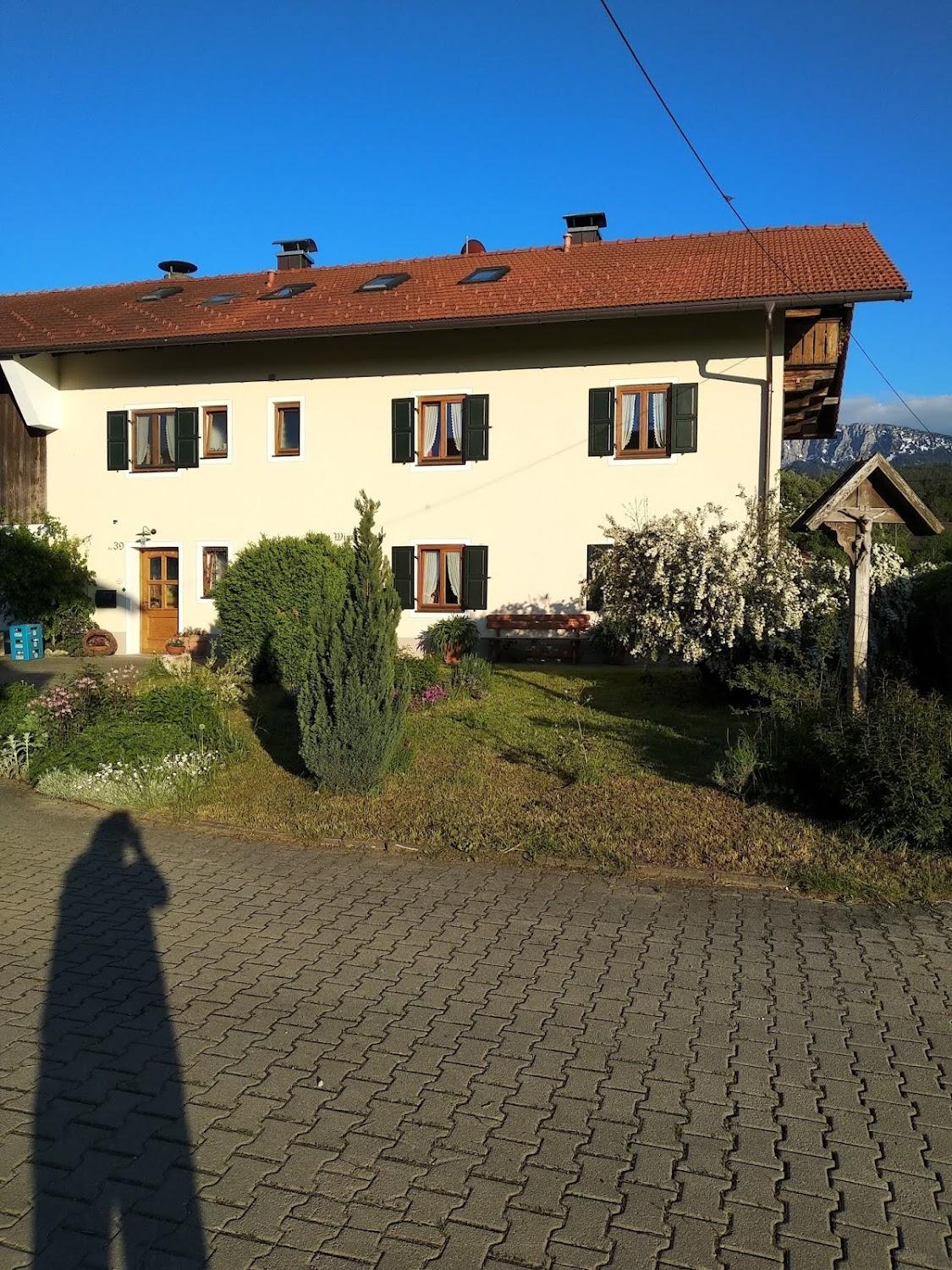 Cover Image for Zum Wimmer