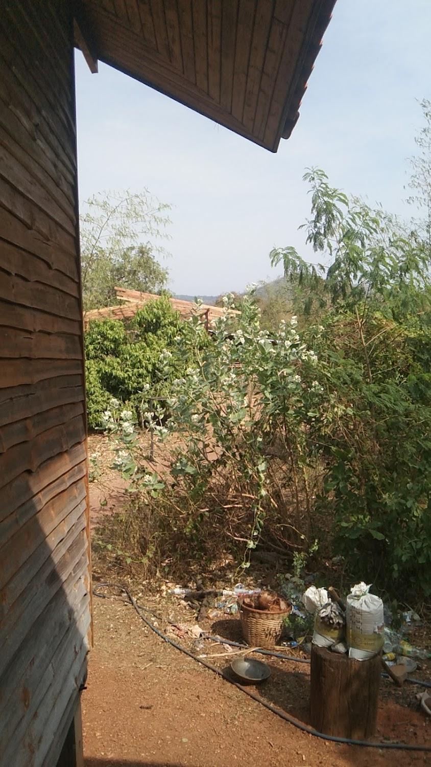 Cover Image for Tan’s house