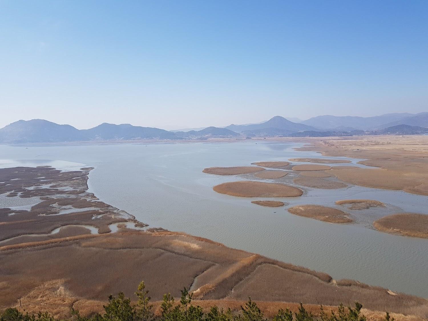 Cover Image for 키즈하우스펜션