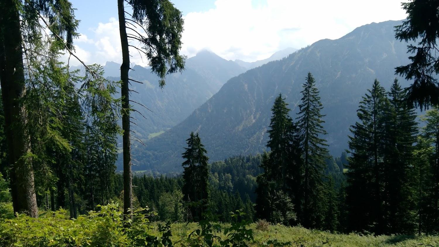 Cover Image for Alpe Huberlesschwand