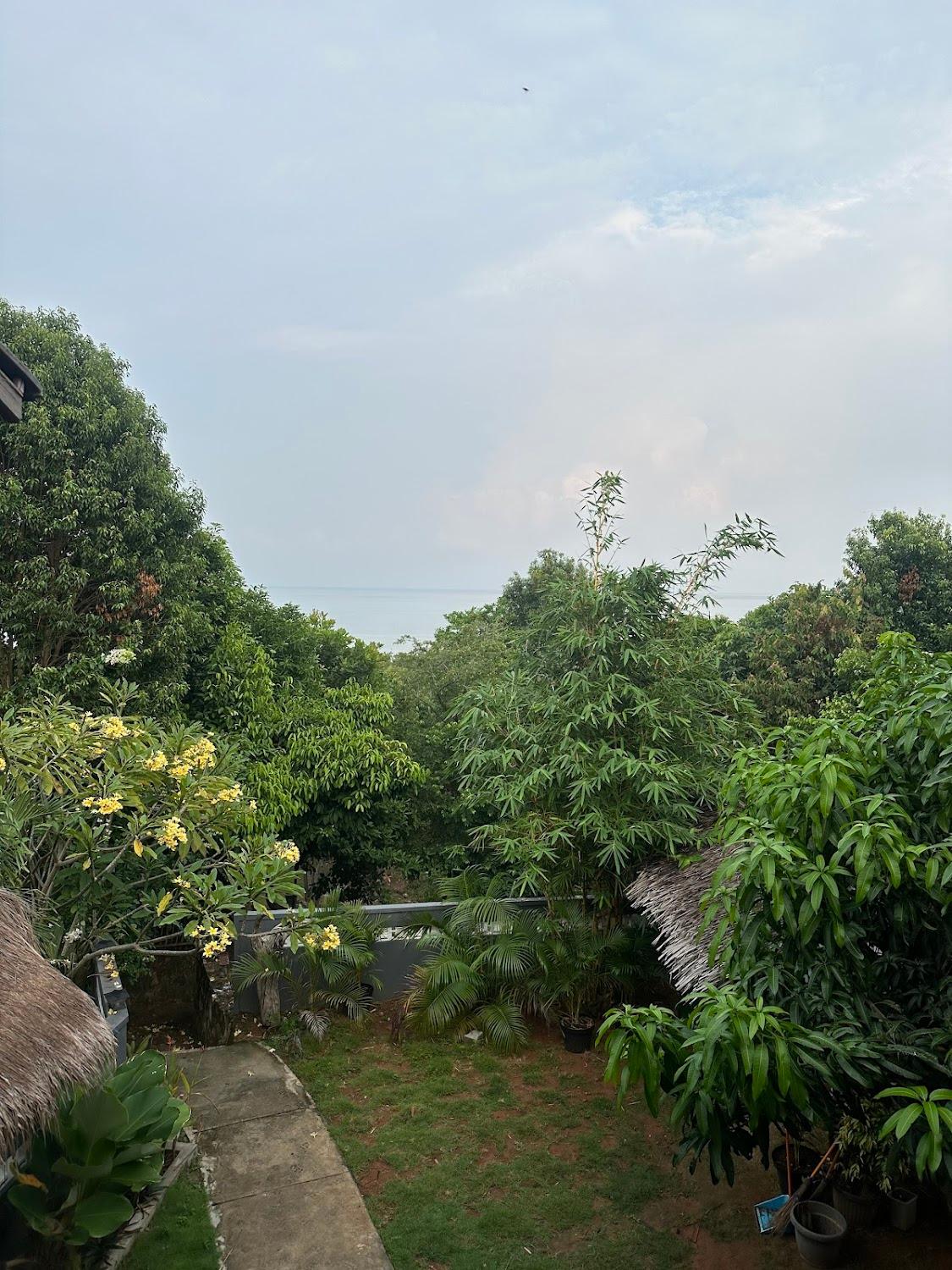 Cover Image for The Secret Karimunjawa