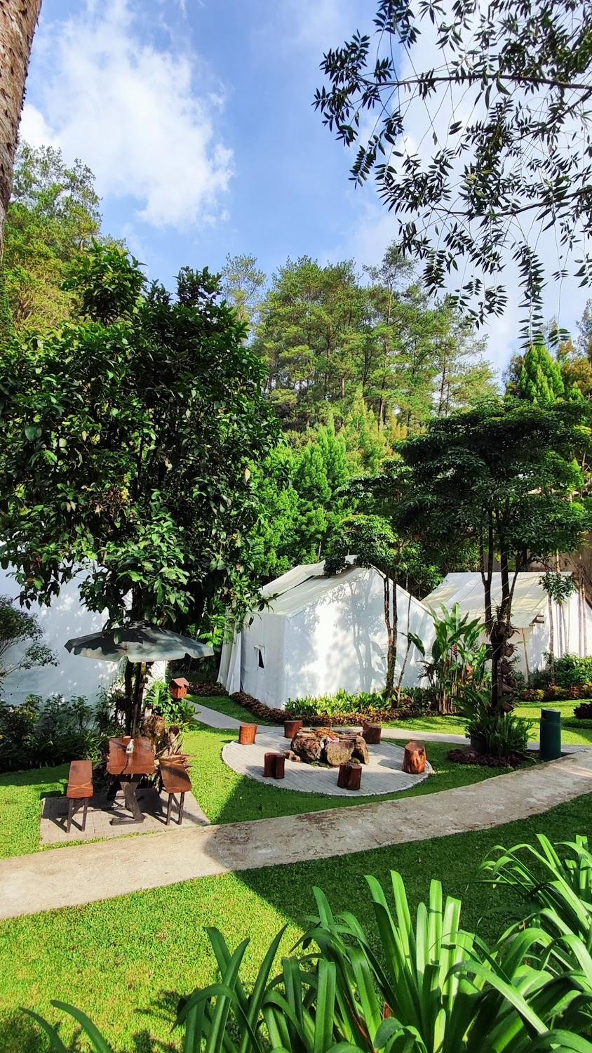 Cover Image for Maribaya Clamping Tent