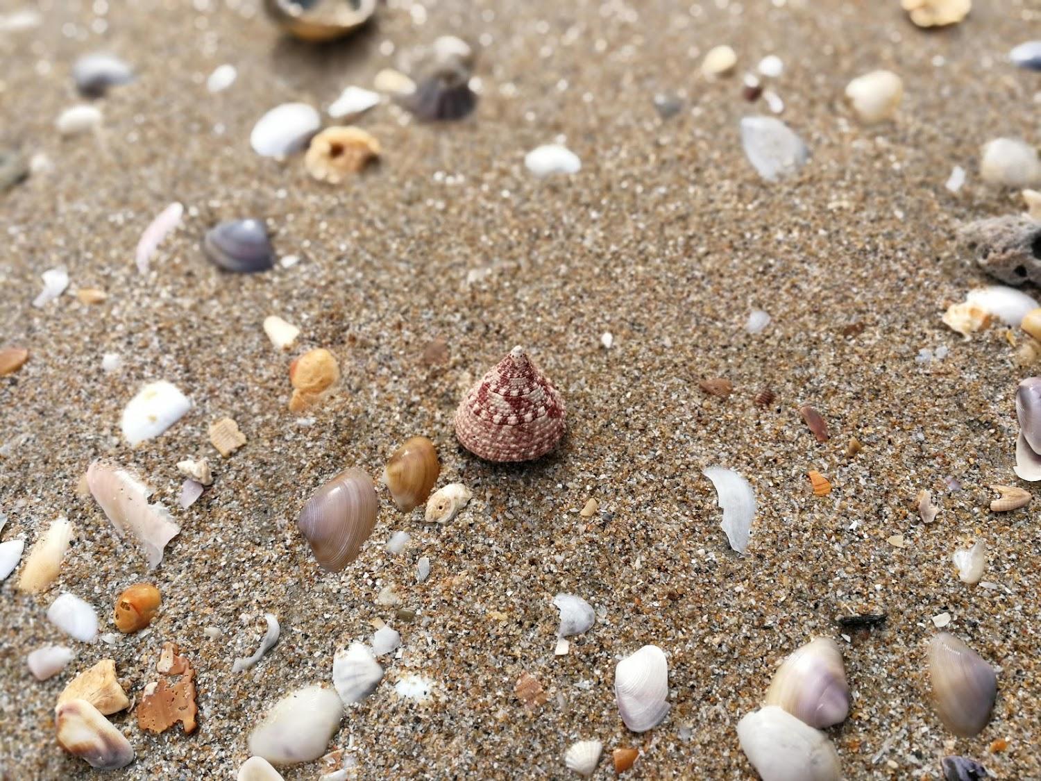 Cover Image for On the beach Resort