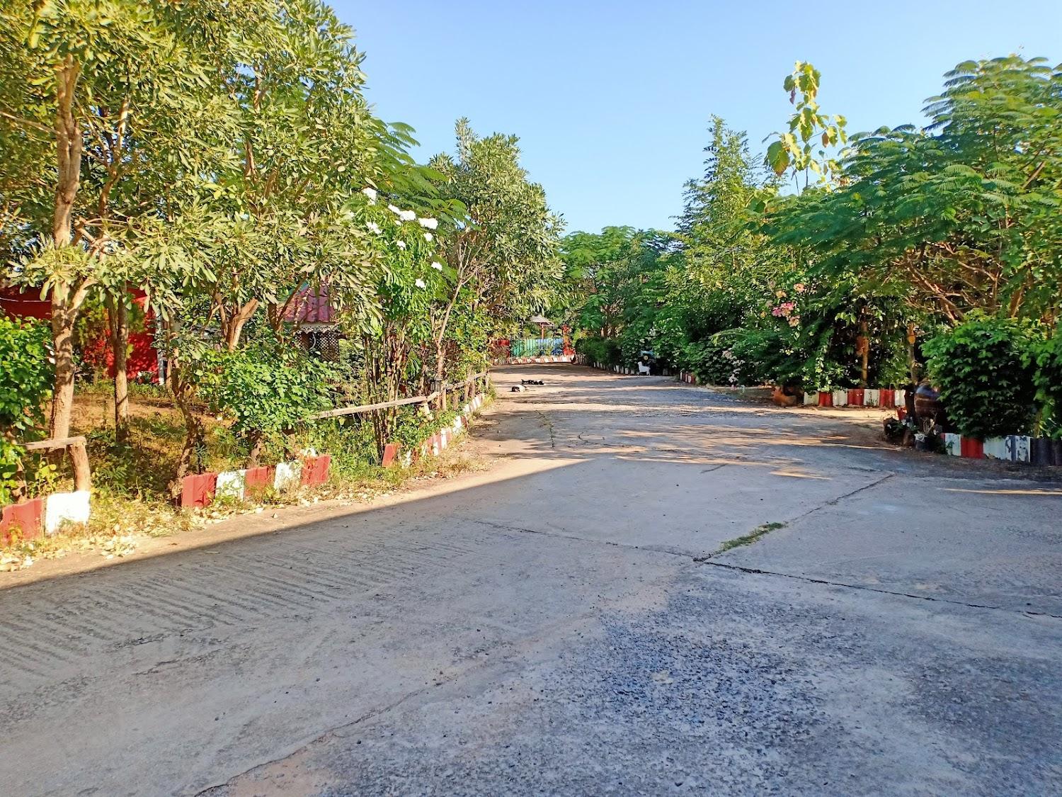 Cover Image for ปาป้ารีสอร์ท