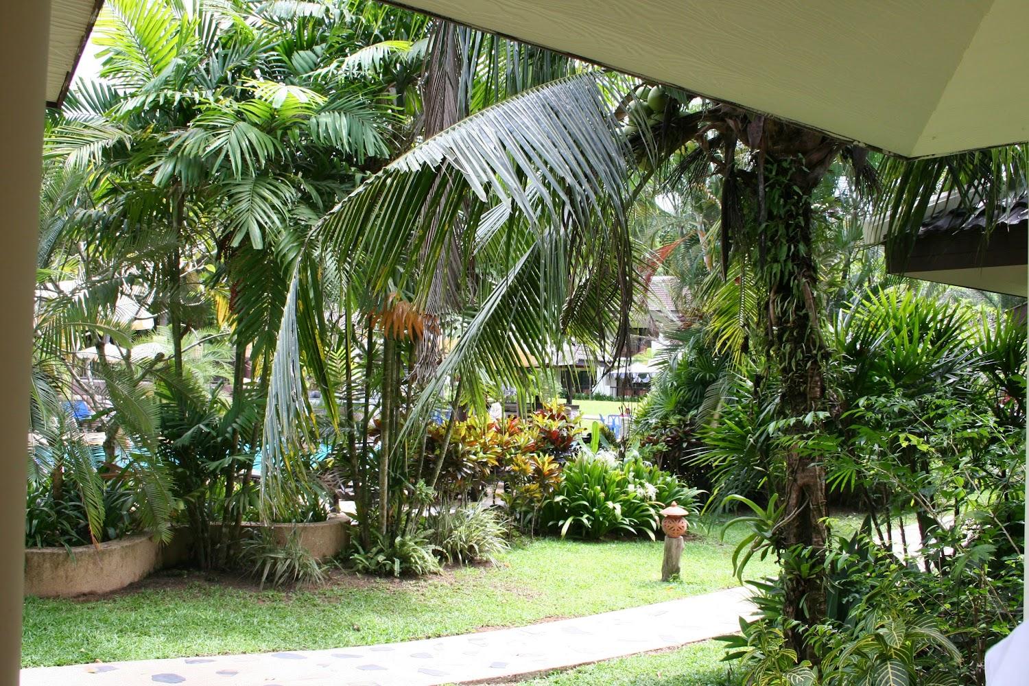 Cover Image for The Andaburi Resort