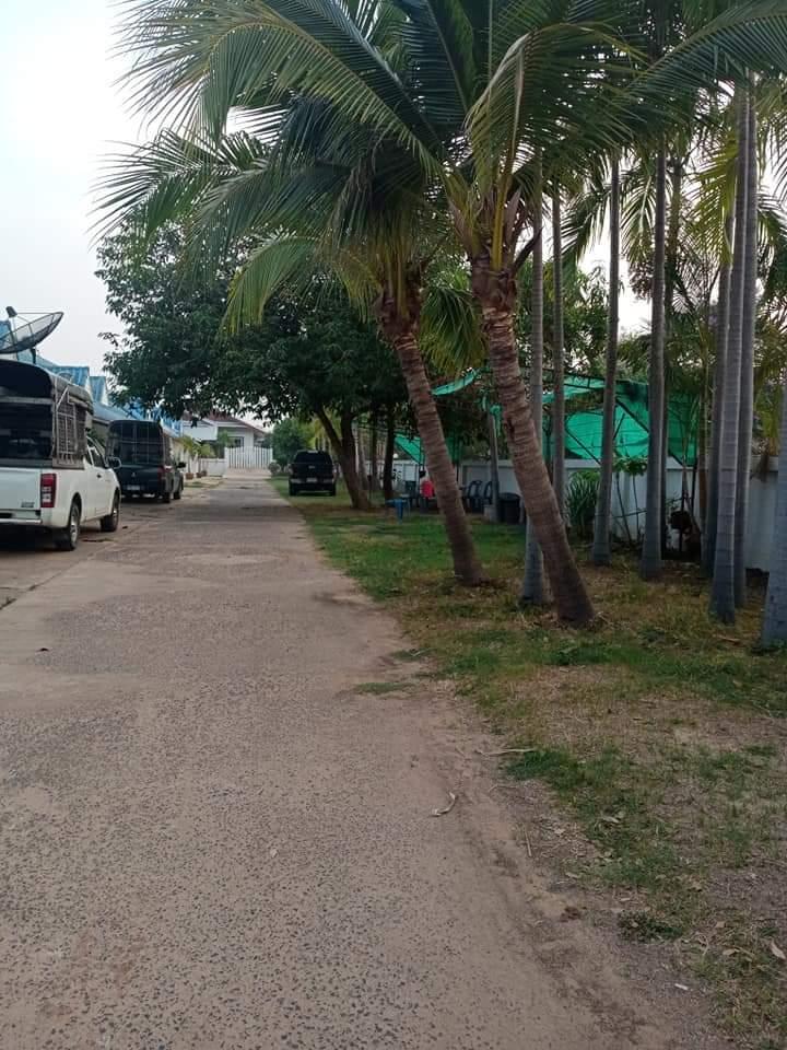 Cover Image for แจ้งสนิทรีสอร์ท