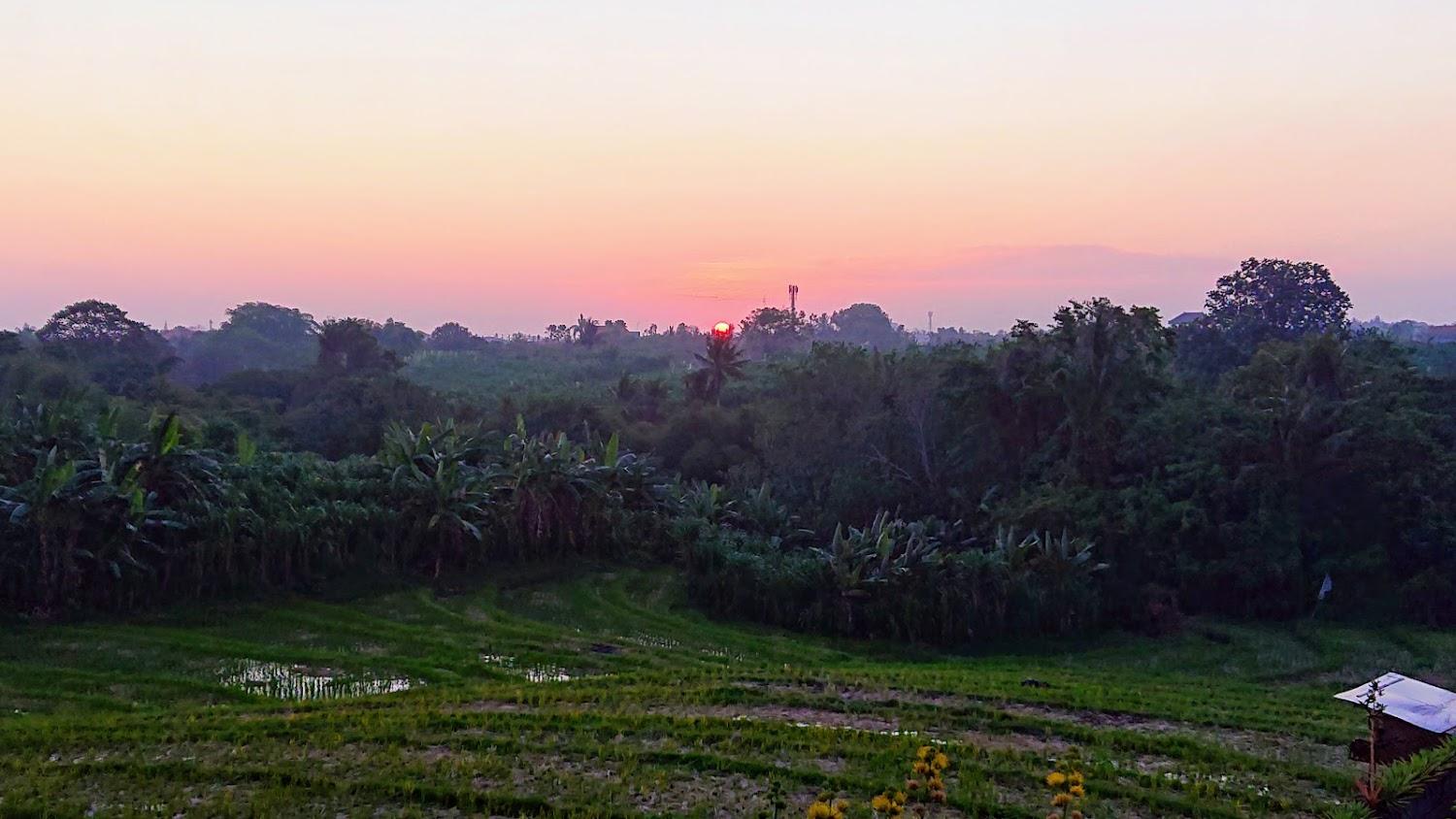Cover Image for The Iman Villa