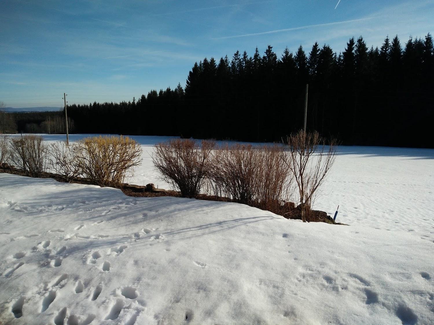 Cover Image for Ferienhaus Elfi