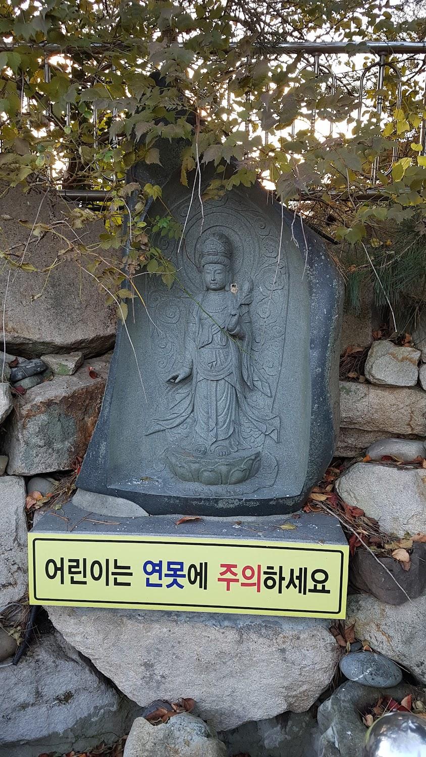 Cover Image for Chowoo Guesthouse