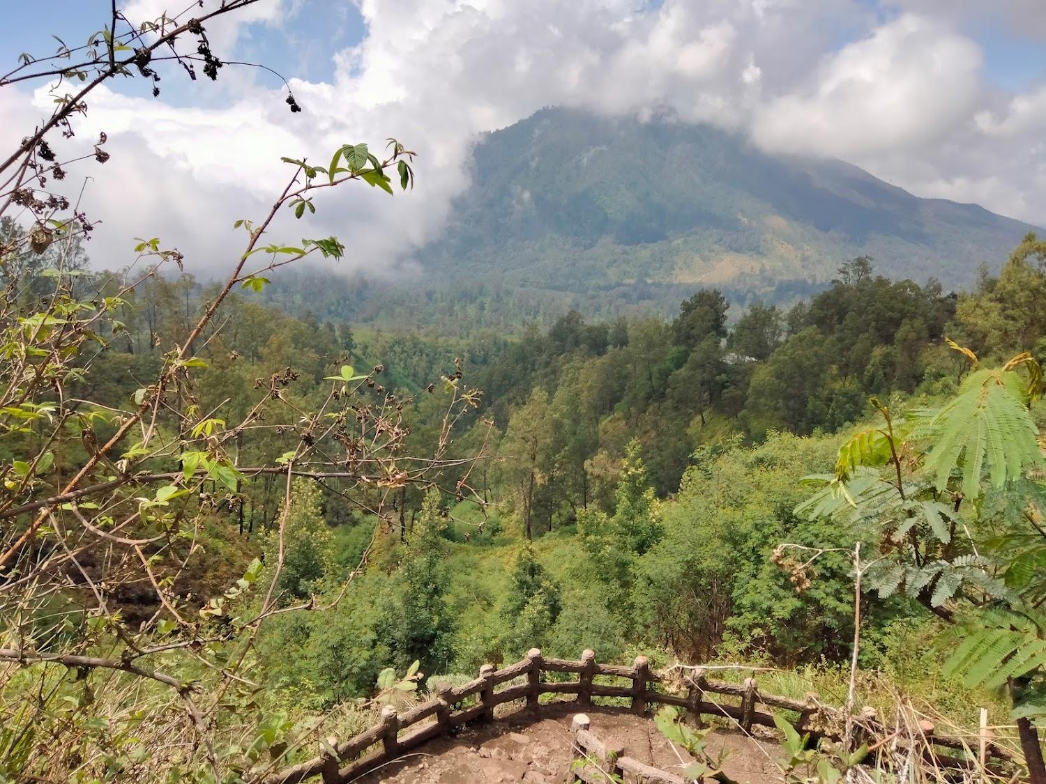Cover Image for Ijen Volcano Inn