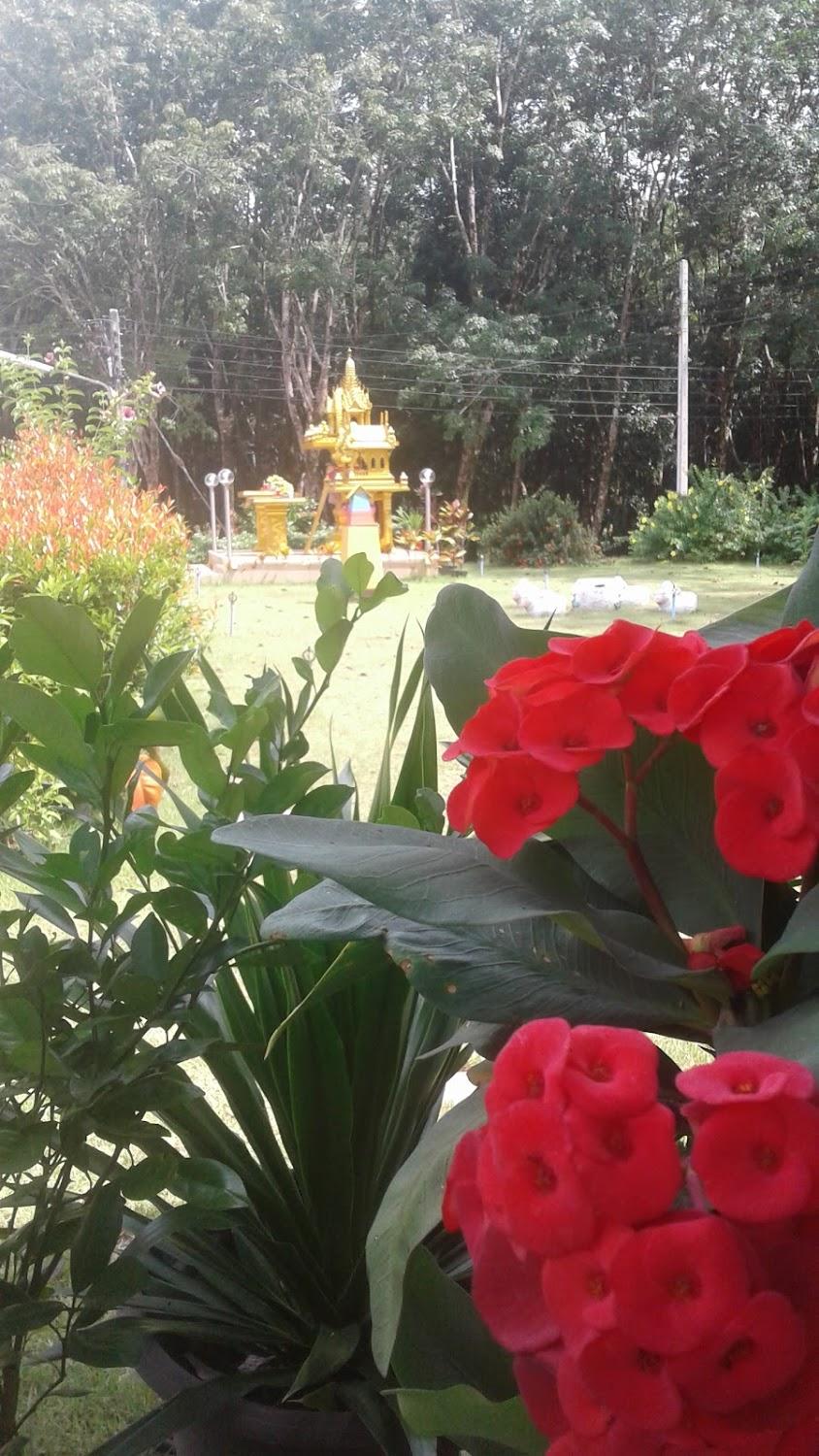 Cover Image for ณัฐกาญน์รีสอร์ท