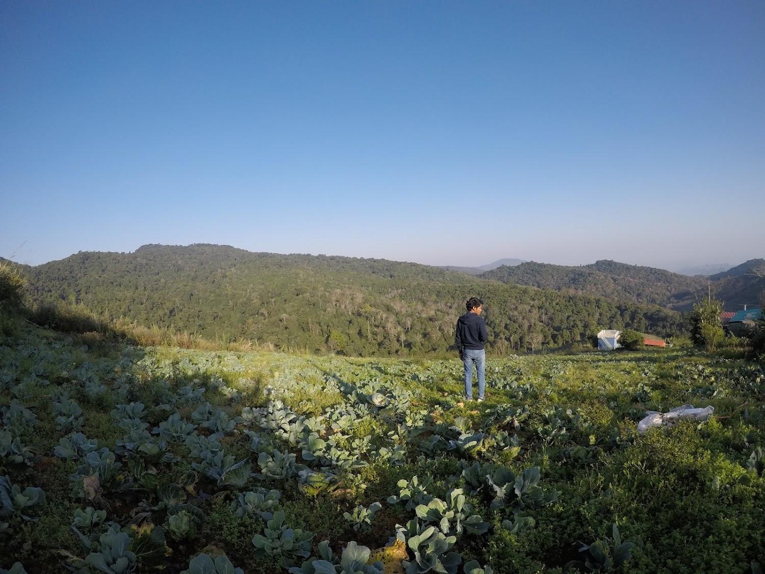 Cover Image for รุ่งอรุณ รีสอร์ท