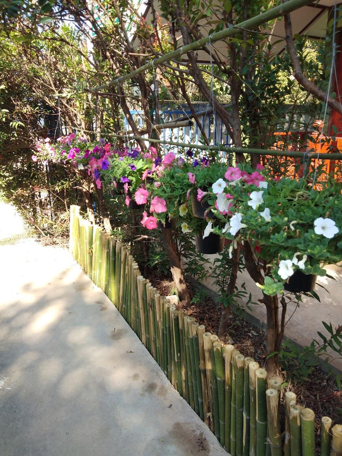Cover Image for เดอะกรีน รีสอร์ท วังสะพุง