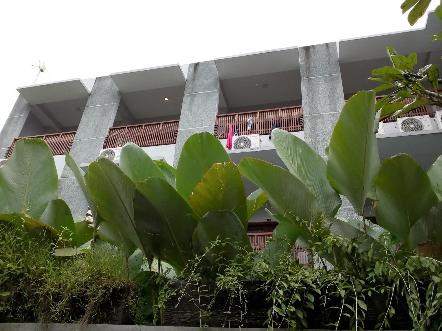 Cover Image for Airy Seminyak Kerobokan Merta Agung Gang Boom Baba 5B Bali