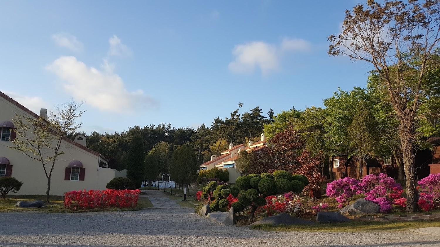 Cover Image for (주)케이와이엠청포대썬셋리조트/수련원