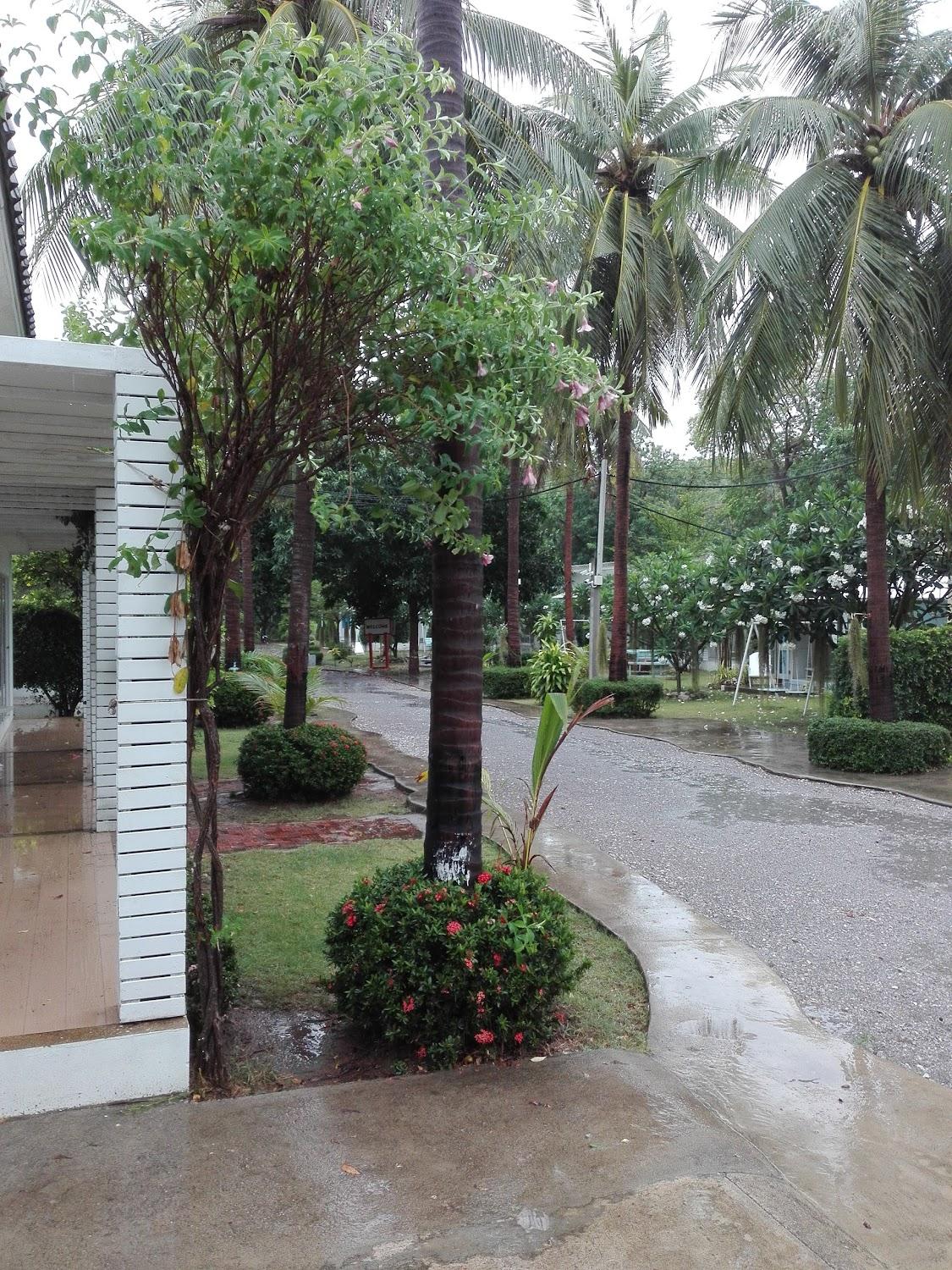 Cover Image for ทิวมะพร้าว อ่าวปราณ รีสอร์ท