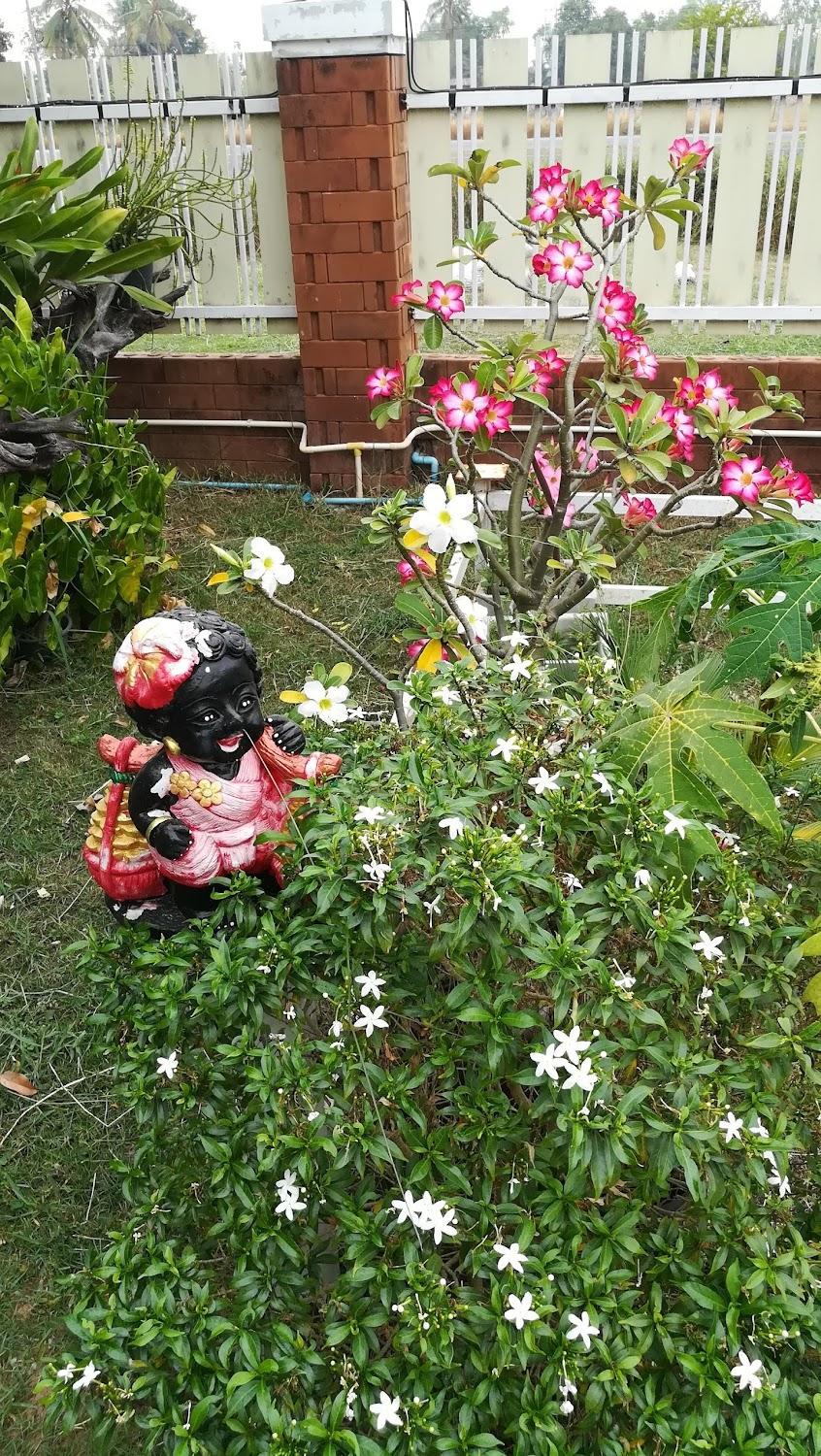 Cover Image for OK Resort