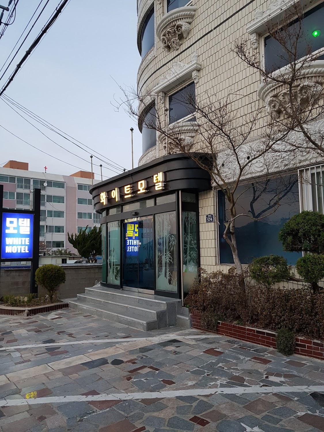 Cover Image for 화이트모텔