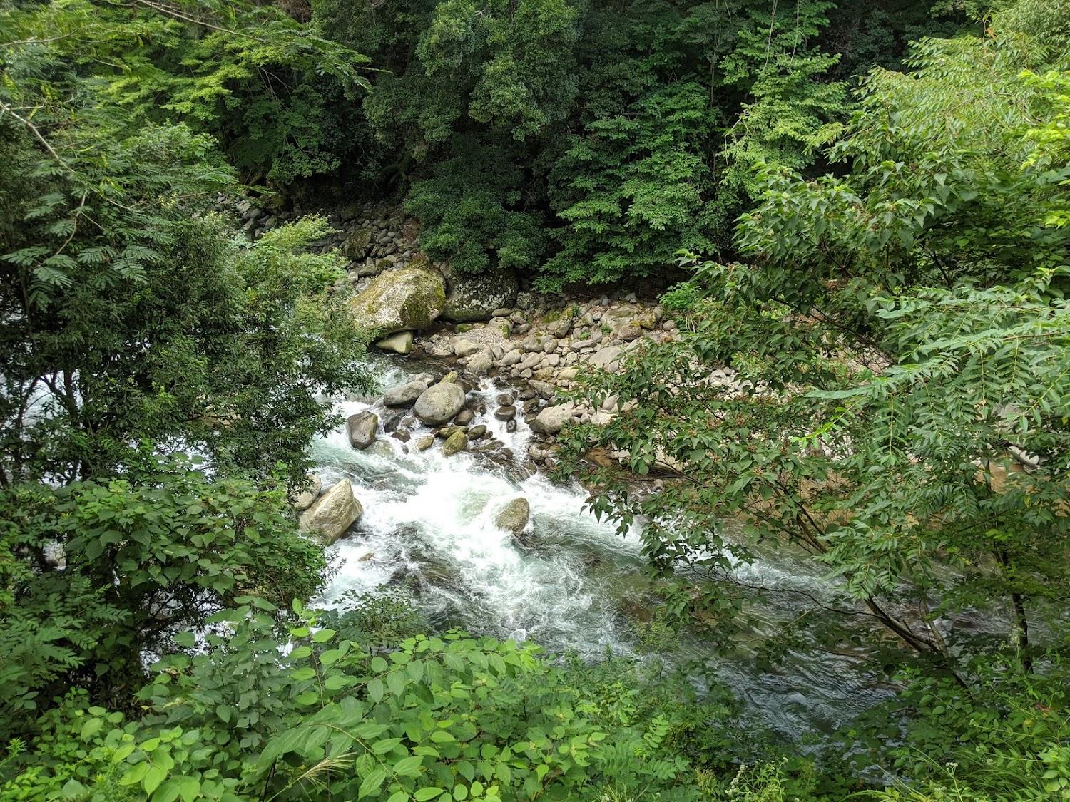Cover Image for Arcana Izu