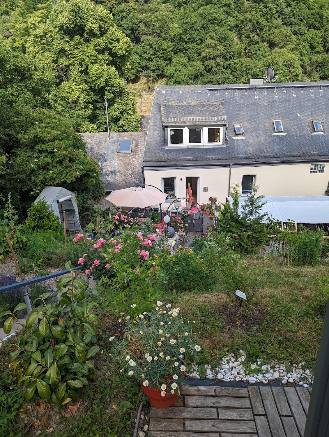 Cover Image for Bed and Breakfast