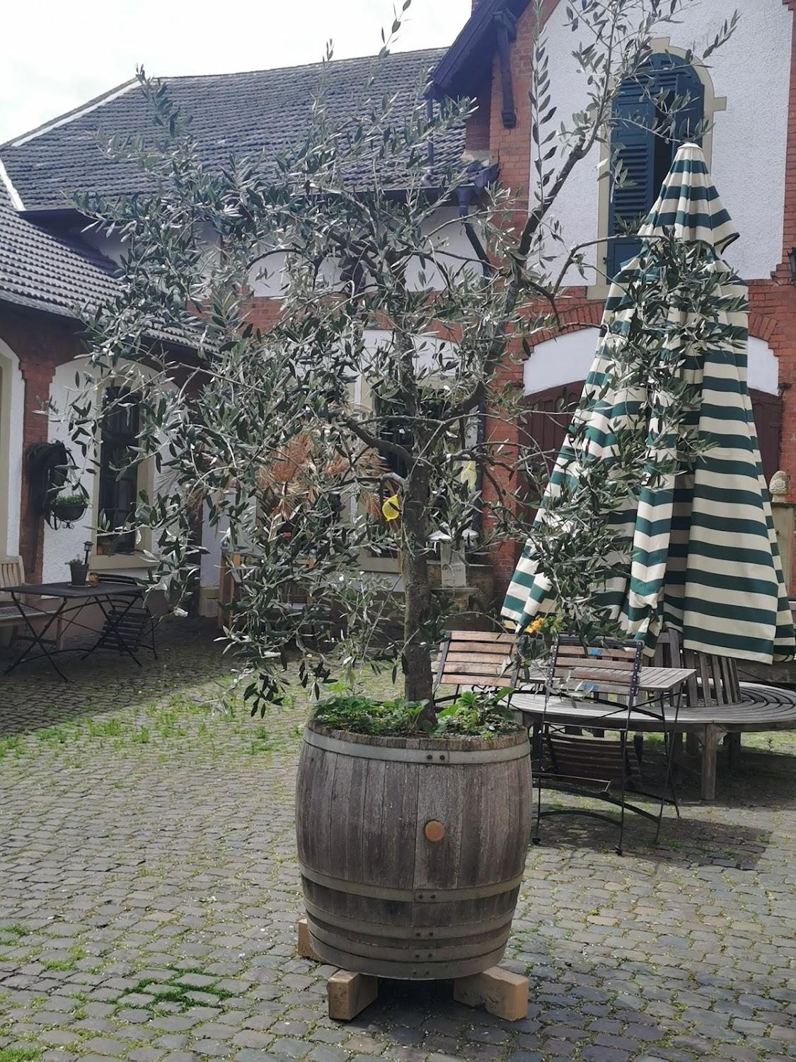 Cover Image for HEINRICHs Gastgeberhof