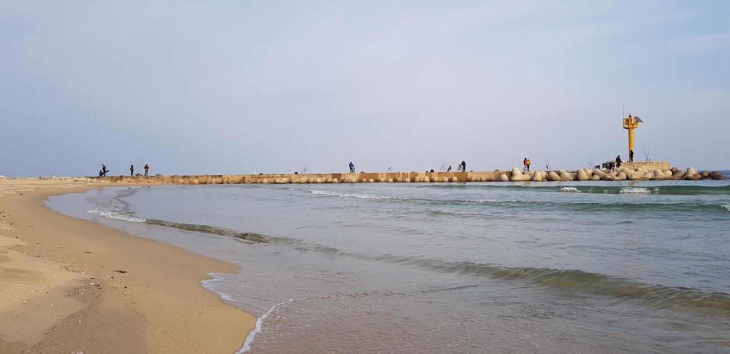 Cover Image for 오마주민박