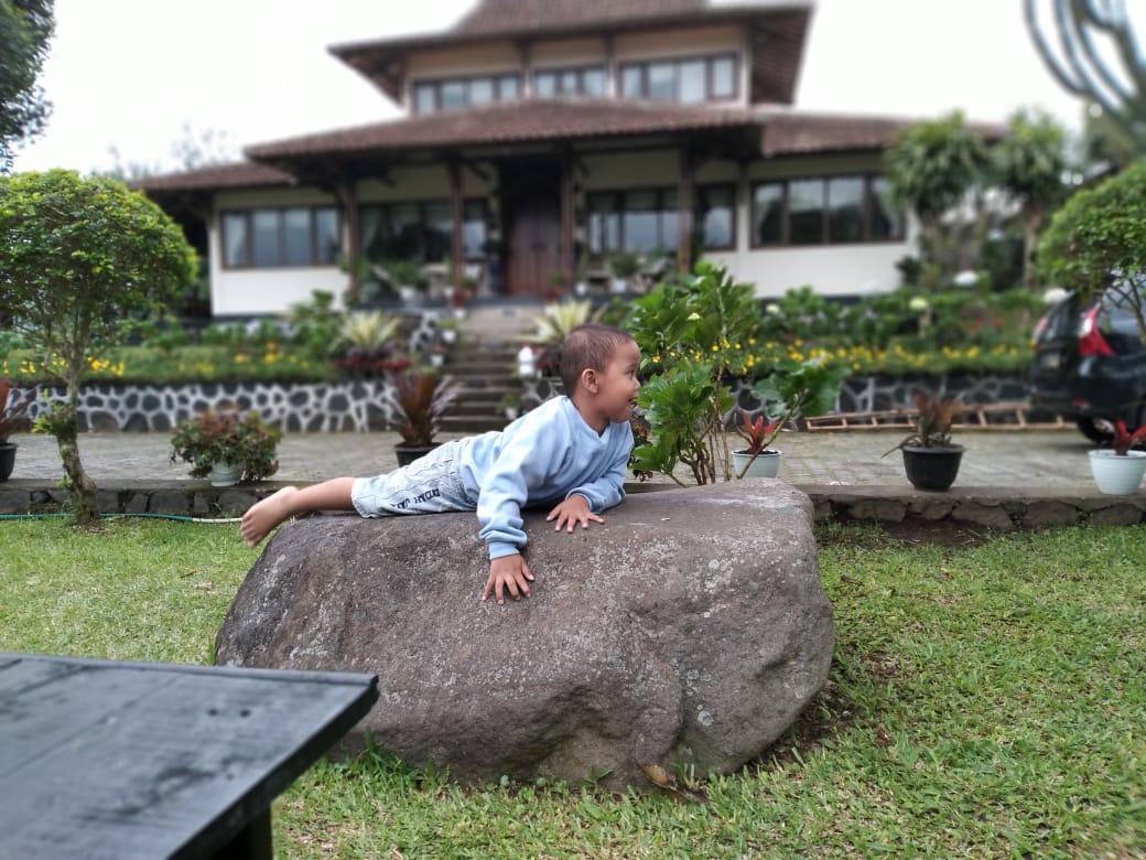 Cover Image for VILLA PRADAPA