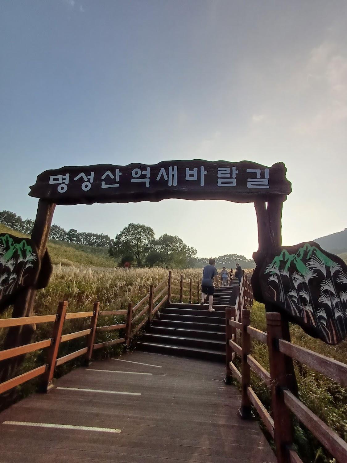 Cover Image for 포천 아이러브펜션