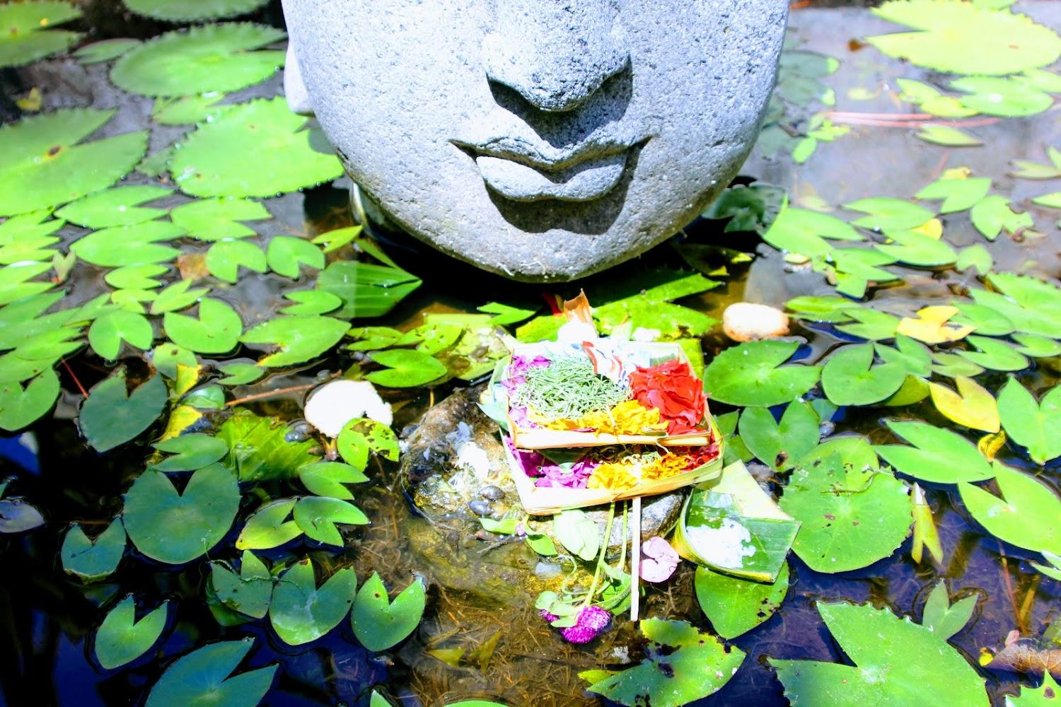 Cover Image for Waka Maya Hotel