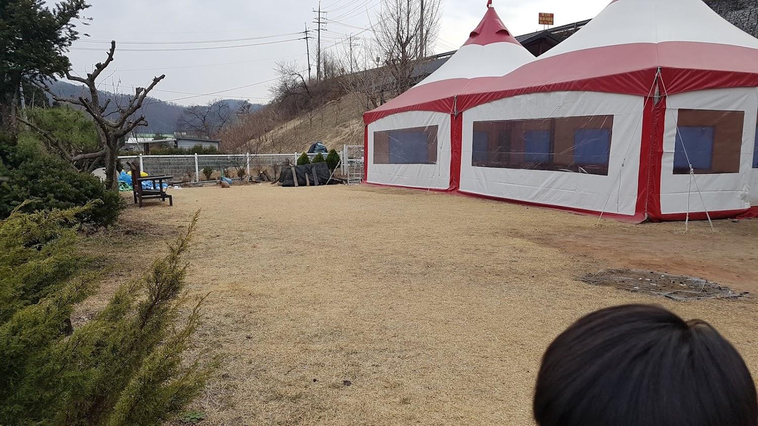 Cover Image for 맑은물펜션