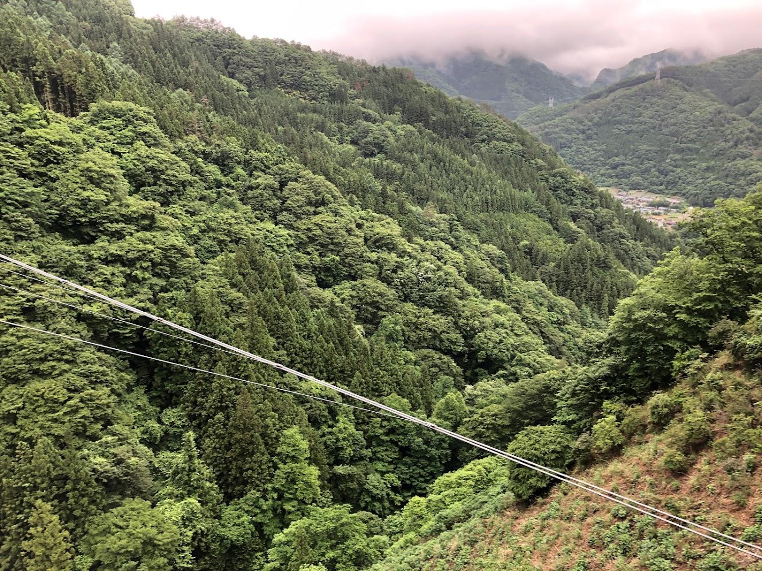Cover Image for Mahoba No Mori Campsite