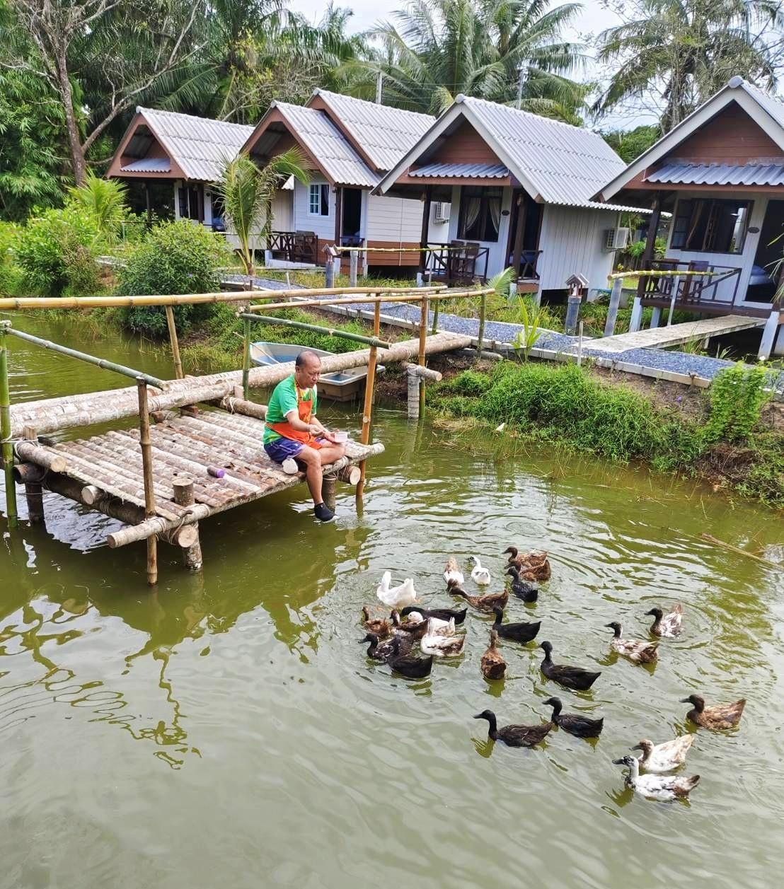 Cover Image for ปารมีฟาร์มสเตย์ Parami Farm Stay