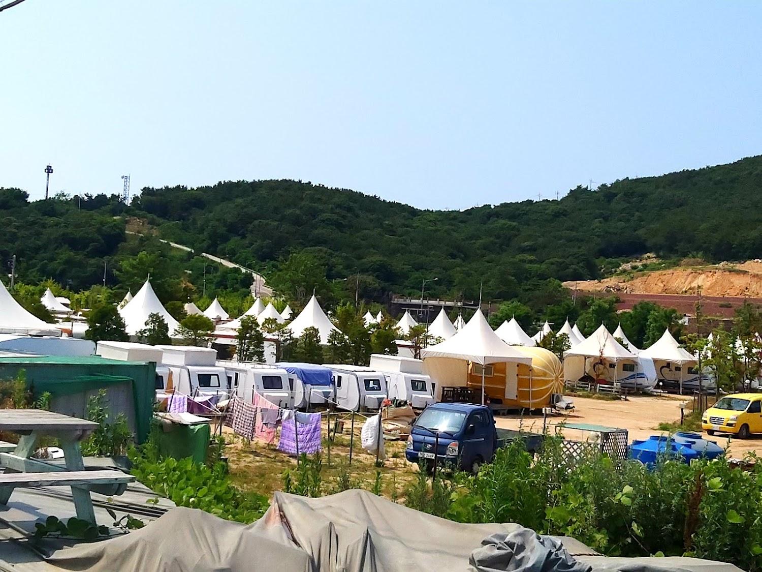 Cover Image for 왕산오토캠핑장
