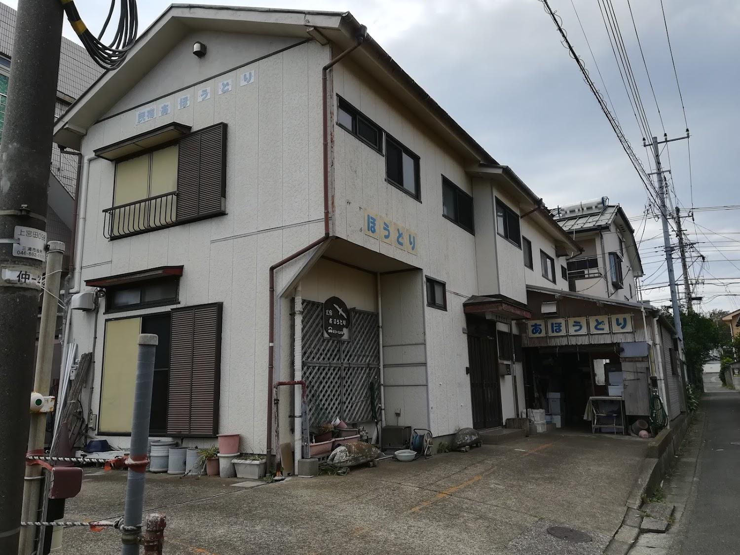 Cover Image for 民宿あほうどり