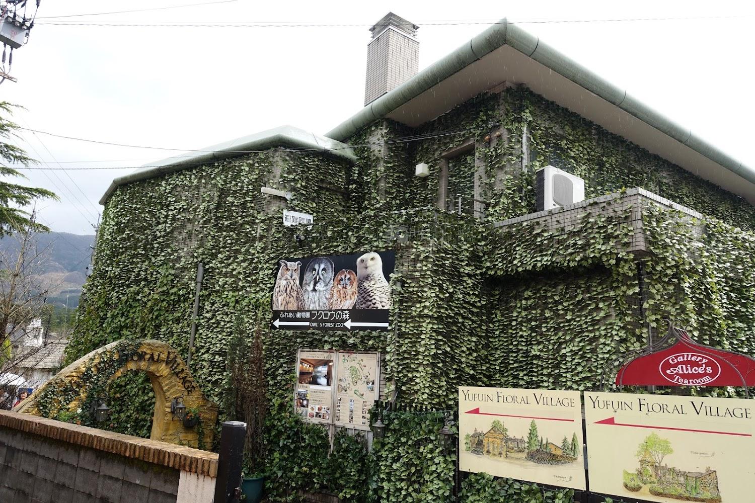 Cover Image for Yufuin Floral Village