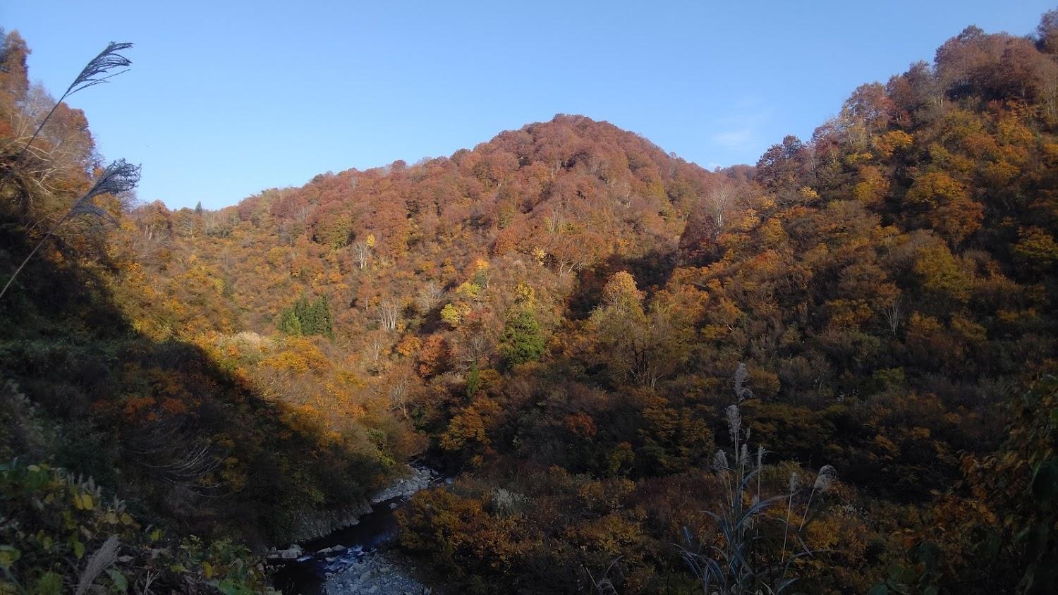Cover Image for 駒の湯温泉 駒の湯山荘