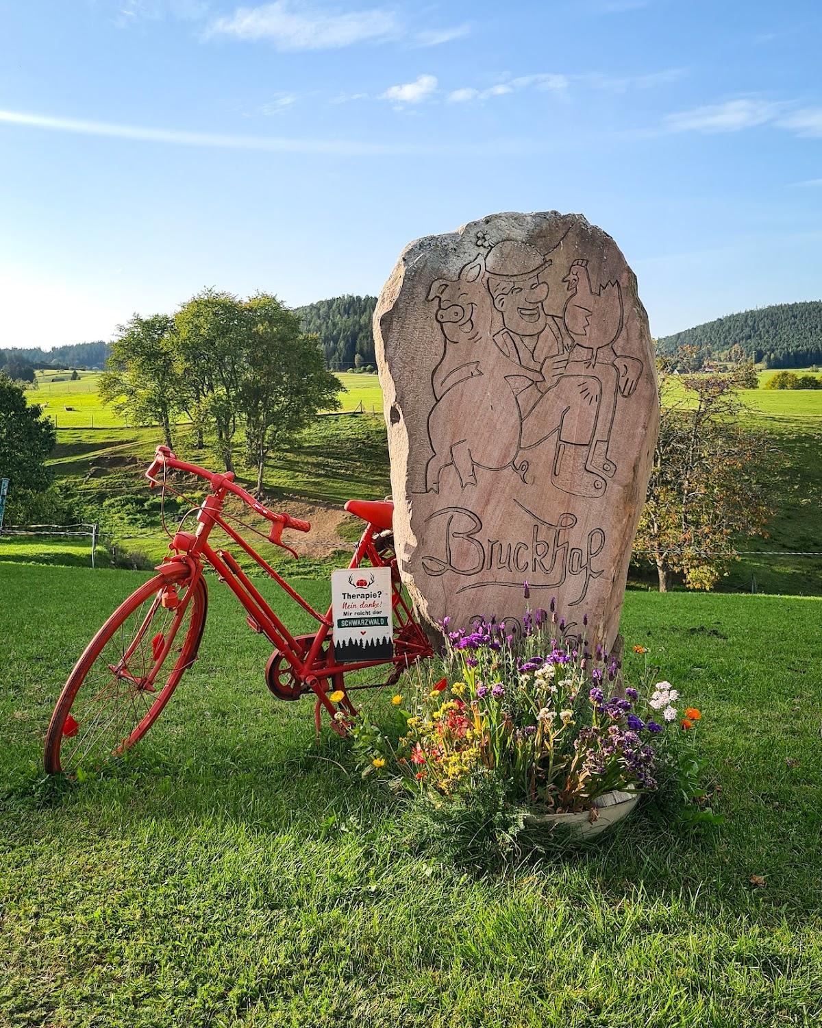Cover Image for Bruckhof