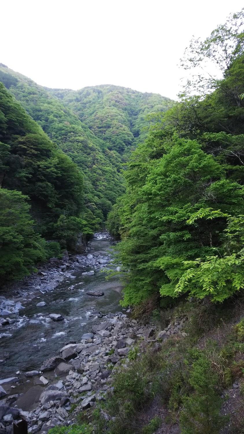 Cover Image for 民宿山里